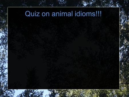 Quiz on animal idioms!!! 1.When you are like a cat on hot bricks, you feel... A.extremely happyB. very nervousA. extremely happy D. unhappy or depressed.