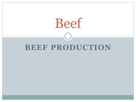 BEEF PRODUCTION Beef. Introduction  The beef industry in Ireland is the largest sector of the Irish Agricultural Economy  There are 4.5 million beef.