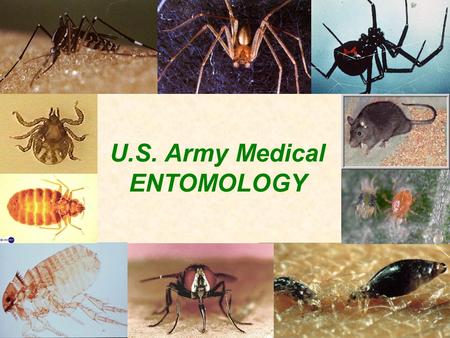 U.S. Army Medical ENTOMOLOGY. U.S. Army Medical Entomology Program COL Scott Gordon Medical Entomology Consultant to the Army Surgeon General.