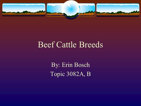 Beef Cattle Breeds By: Erin Bosch Topic 3082A, B.