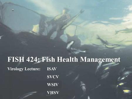 FISH 424: Fish Health Management