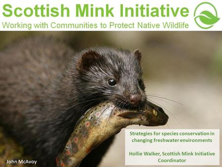 Strategies for species conservation in changing freshwater environments Hollie Walker, Scottish Mink Initiative Coordinator John McAvoy.