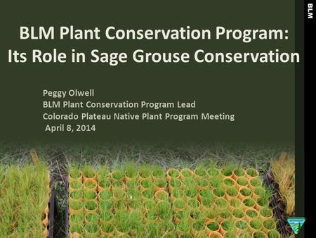 BLM Plant Conservation Program: Its Role in Sage Grouse Conservation