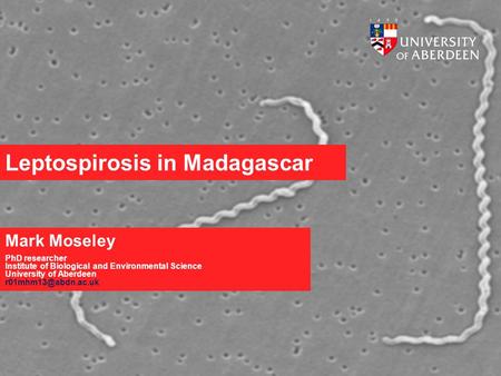 Leptospirosis in Madagascar Mark Moseley PhD researcher Institute of Biological and Environmental Science University of Aberdeen