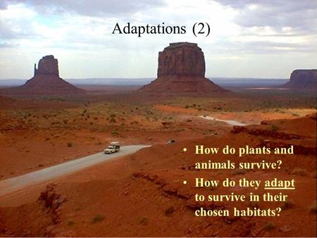 Adaptations (2) How do plants and animals survive?