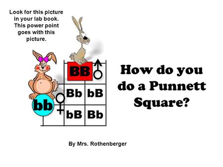 How do you do a Punnett Square? By Mrs. Rothenberger Look for this picture in your lab book. This power point goes with this picture.