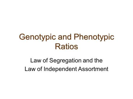 Genotypic and Phenotypic Ratios Law of Segregation and the Law of Independent Assortment.