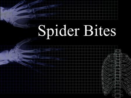 Spider Bites. Introduction All spiders are poisonous. Luckily, most spiders are unable to penetrate human skin with their fangs (chelicerae), or the quantity.
