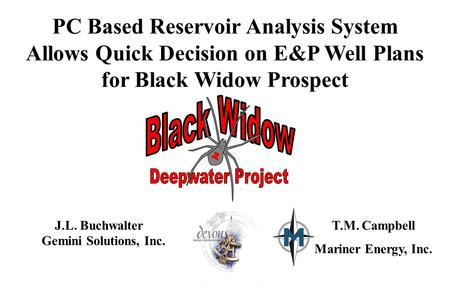 PC Based Reservoir Analysis System Allows Quick Decision on E&P Well Plans for Black Widow Prospect J.L. Buchwalter Gemini Solutions, Inc. T.M. Campbell.