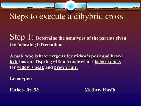 Heterozygouswidow’s peakbrown hairheterozygous widow’s peakbrown hair. Steps to execute a dihybrid cross Step 1: Determine the genotypes of the parents.
