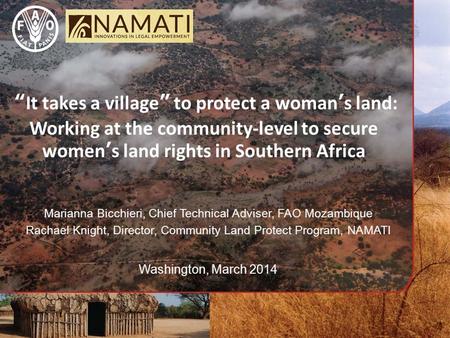 “It takes a village” to protect a woman’s land: Working at the community-level to secure women’s land rights in Southern Africa Marianna Bicchieri, Chief.