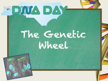 What is DNA? Variations in DNA can cause visible changes in different individuals.