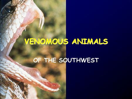 VENOMOUS ANIMALS OF THE SOUTHWEST. WHY TALK ABOUT VENOMOUS ANIMALS? SO THAT YOU’RE NEITHER OVERLY WORRIED…
