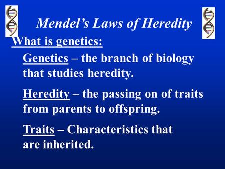 Mendel’s Laws of Heredity What is genetics: Genetics – the branch of biology that studies heredity. Heredity – the passing on of traits from parents to.
