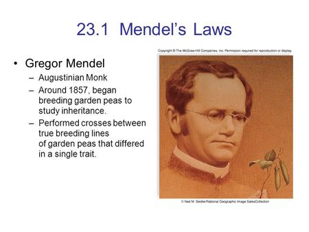23.1 Mendel’s Laws Gregor Mendel Augustinian Monk
