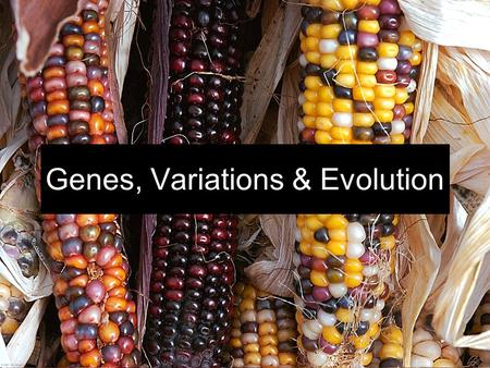 Genes, Variations & Evolution