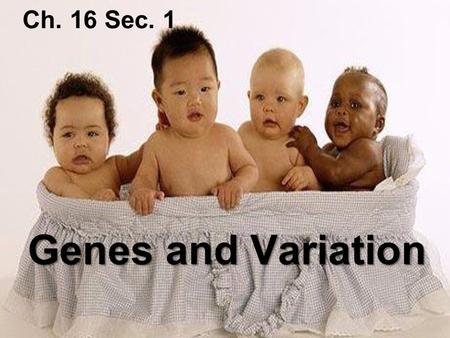 Ch. 16 Sec. 1 Genes and Variation.