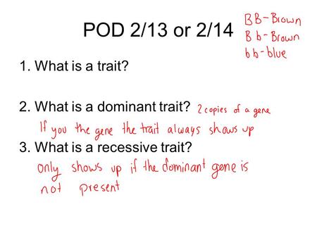 POD 2/13 or 2/14 1. What is a trait? 2. What is a dominant trait? 3. What is a recessive trait?