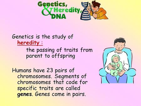 Genetics is the study of heredity :