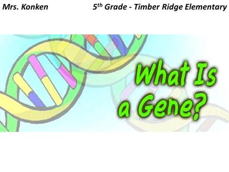 Mrs. Konken 5th Grade - Timber Ridge Elementary.
