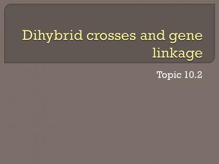 Topic 10.2.  10.2.1 Calculate and predict the genotypic and phenotypic ratio of offspring of dihybrid crosses involving unlinked autosomal genes.  10.2.2.