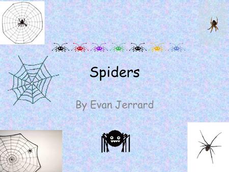 Spiders By Evan Jerrard.