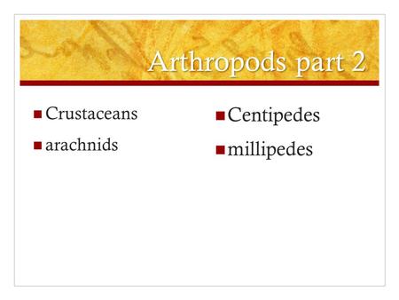 Arthropods part 2 Crustaceans arachnids Centipedes millipedes.