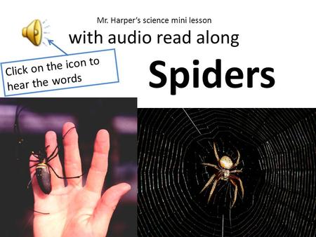 Click on the icon to hear the words Spiders Mr. Harper’s science mini lesson with audio read along.