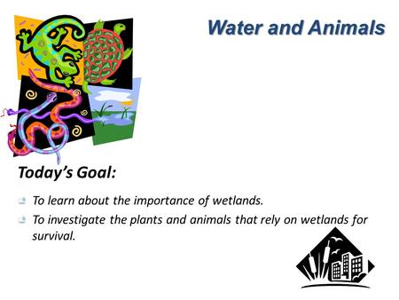 Water and Animals Today’s Goal: To learn about the importance of wetlands. To investigate the plants and animals that rely on wetlands for survival.