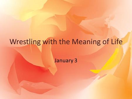 Wrestling with the Meaning of Life January 3. Think About It … What sort of mindless activities do you enjoy? Why? Today we look at how Solomon struggled.