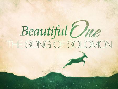 Song of Solomon. A Song Among Songs A Unique Challenge: Four Primary Views –Marriage of Solomon to Shulammite Maiden –The Lust of Solomon & The Love of.