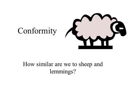 Conformity How similar are we to sheep and lemmings?