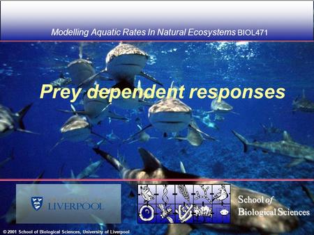 Modelling Aquatic Rates In Natural Ecosystems BIOL471