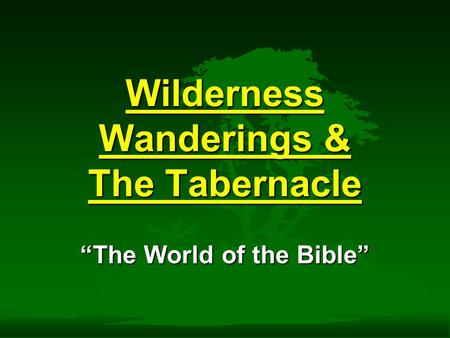 Wilderness Wanderings & The Tabernacle “The World of the Bible”