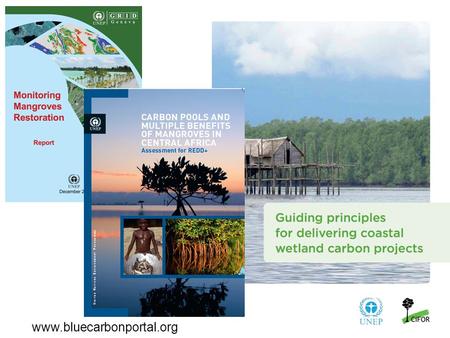 Www.bluecarbonportal.org. Monitoring the restoration of mangrove ecosystems from space.