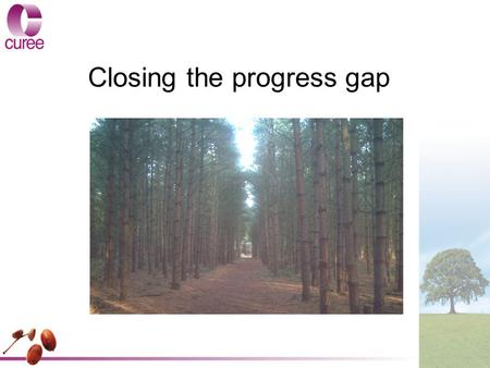 Closing the progress gap. Key issues addressed by the study This study explored: – approaches to closing the gap for disadvantaged pupils –effective leadership.