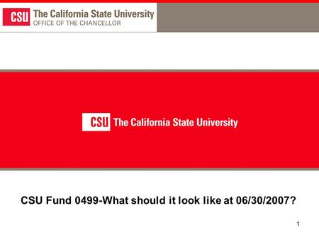 1 CSU Fund 0499-What should it look like at 06/30/2007?