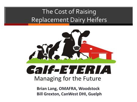 The Cost of Raising Replacement Dairy Heifers