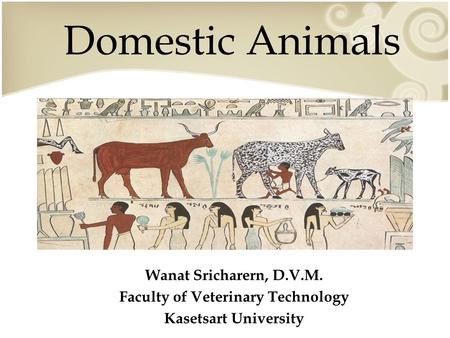 Domestic Animals Wanat Sricharern, D.V.M. Faculty of Veterinary Technology Kasetsart University.