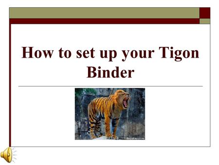 How to set up your Tigon Binder Why do you need a Tigon Binder?  Our team is dedicated to promoting organization through a tested, proactive approach.