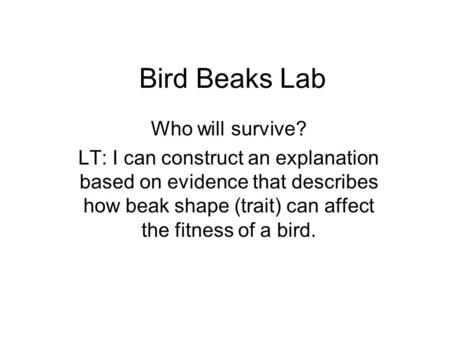 Bird Beaks Lab Who will survive? LT: I can construct an explanation based on evidence that describes how beak shape (trait) can affect the fitness of a.