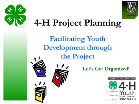 Facilitating Youth Development through