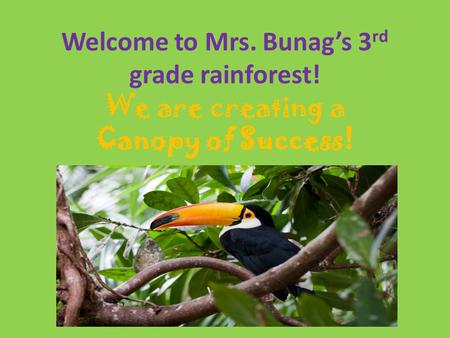 Welcome to Mrs. Bunag’s 3 rd grade rainforest! We are creating a Canopy of Success!