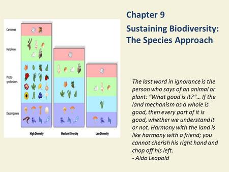 Chapter 9 Sustaining Biodiversity: The Species Approach The last word in ignorance is the person who says of an animal or plant: “What good is it?”… If.