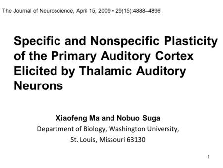 1 Specific and Nonspecific Plasticity of the Primary Auditory Cortex Elicited by Thalamic Auditory Neurons Xiaofeng Ma and Nobuo Suga Department of Biology,