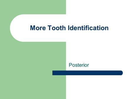 More Tooth Identification