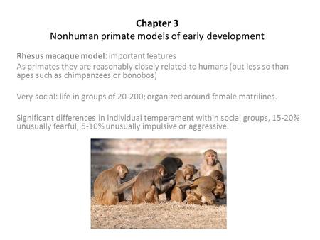 Chapter 3 Nonhuman primate models of early development Rhesus macaque model: important features As primates they are reasonably closely related to humans.