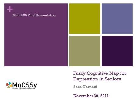 + Fuzzy Cognitive Map for Depression in Seniors Sara Namazi Math 800 Final Presentation November 30, 2011.