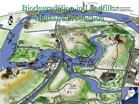 Biodegradation in Landfills: Methane Production .