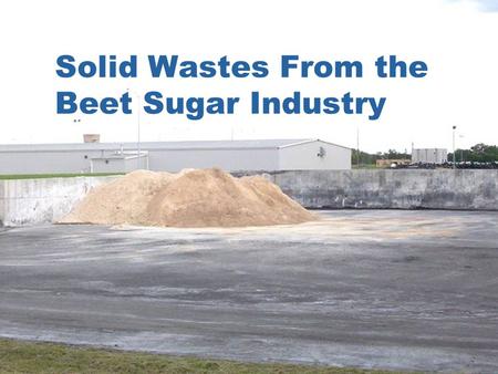 Solid Wastes From the Beet Sugar Industry. List Dirt ** Precipitated calcium carbonate ** Rocks Weeds and beet tailings Limekiln waste Used oil ** Discarded.